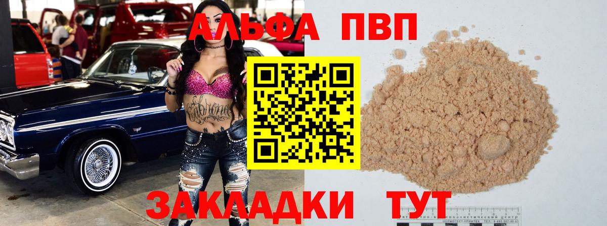 Альфа ПВП СК Киров